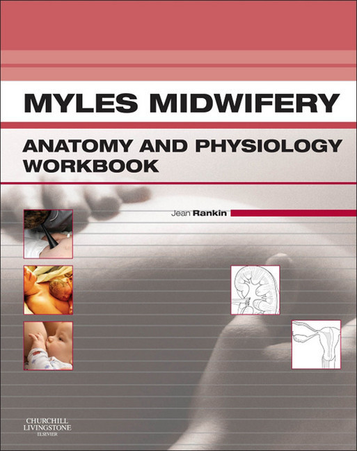 Myles Midwifery A&P Colouring Workbook - E-Book main product photo