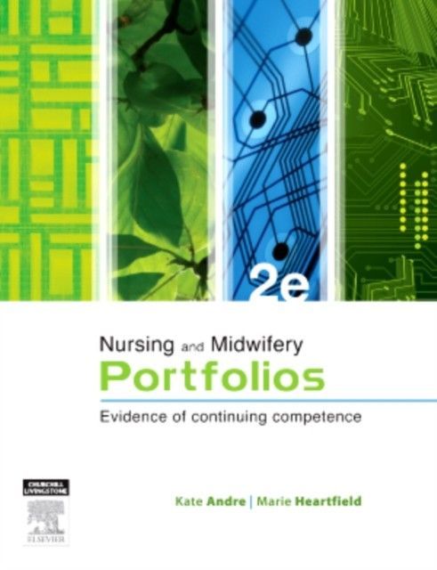 Professional Portfolios - E-Book main product photo