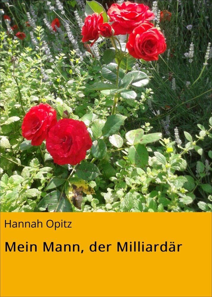 Mein Mann, der Milliardär main product photo