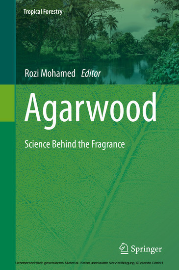 Agarwood main product photo