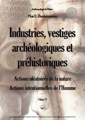Industries, vestiges archéologiques et préhistoriques - Action aléatoire de la nature & Action intentionnelle de l'Homme - Volume VI