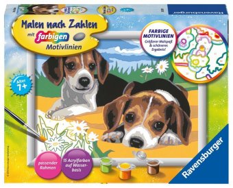Ravensburger Malen nach Zahlen 28329 - Jack Russel Welpen - Kinder ab 7 Jahren