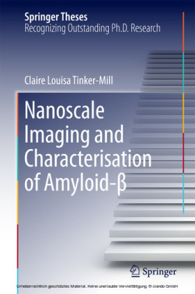 Nanoscale Imaging and Characterisation of Amyloid-?