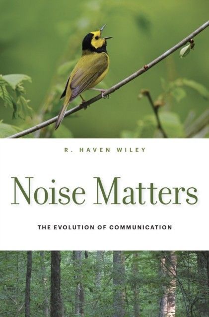 Noise Matters main product photo