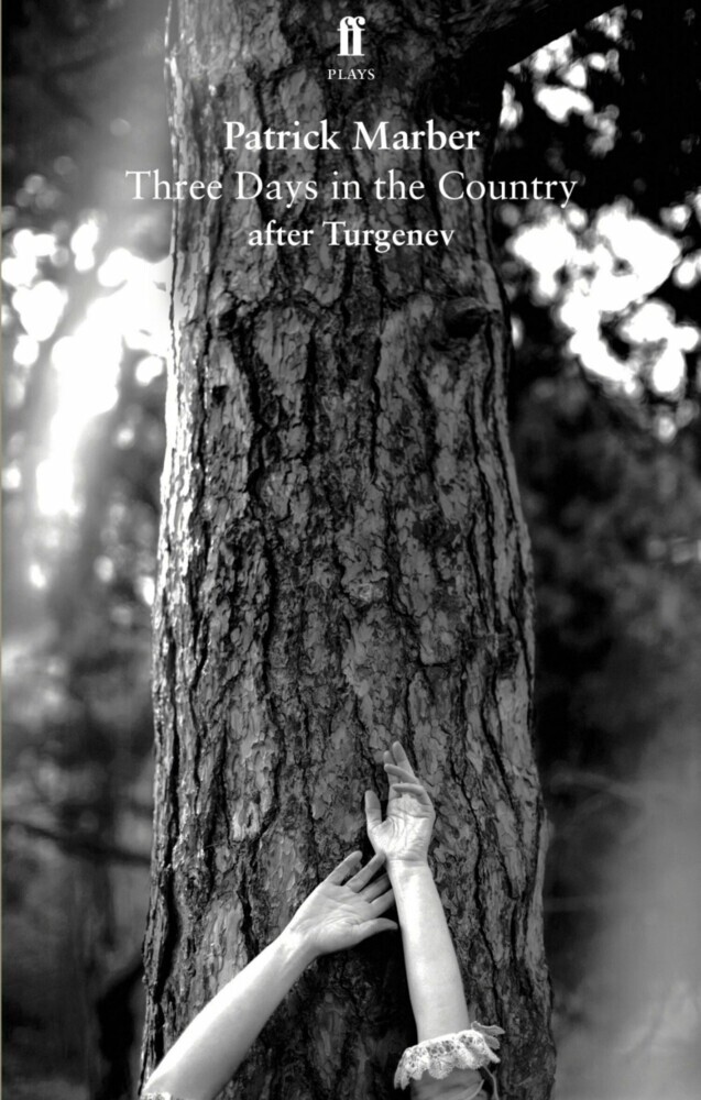 Three Days in the Country main product photo