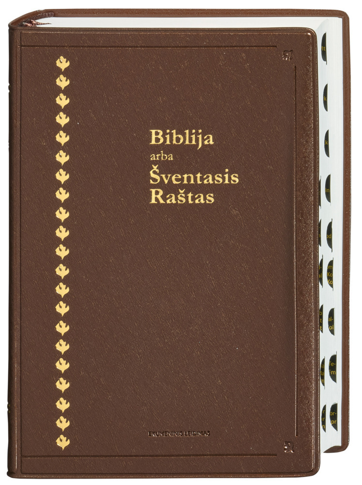 Bibel Litauisch - Biblija main product photo