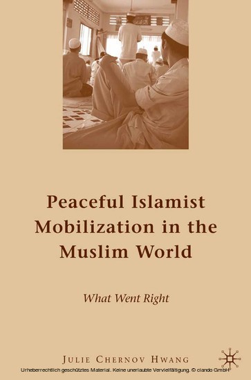 Peaceful Islamist Mobilization in the Muslim World main product photo