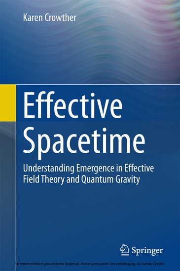 Effective Spacetime main product photo
