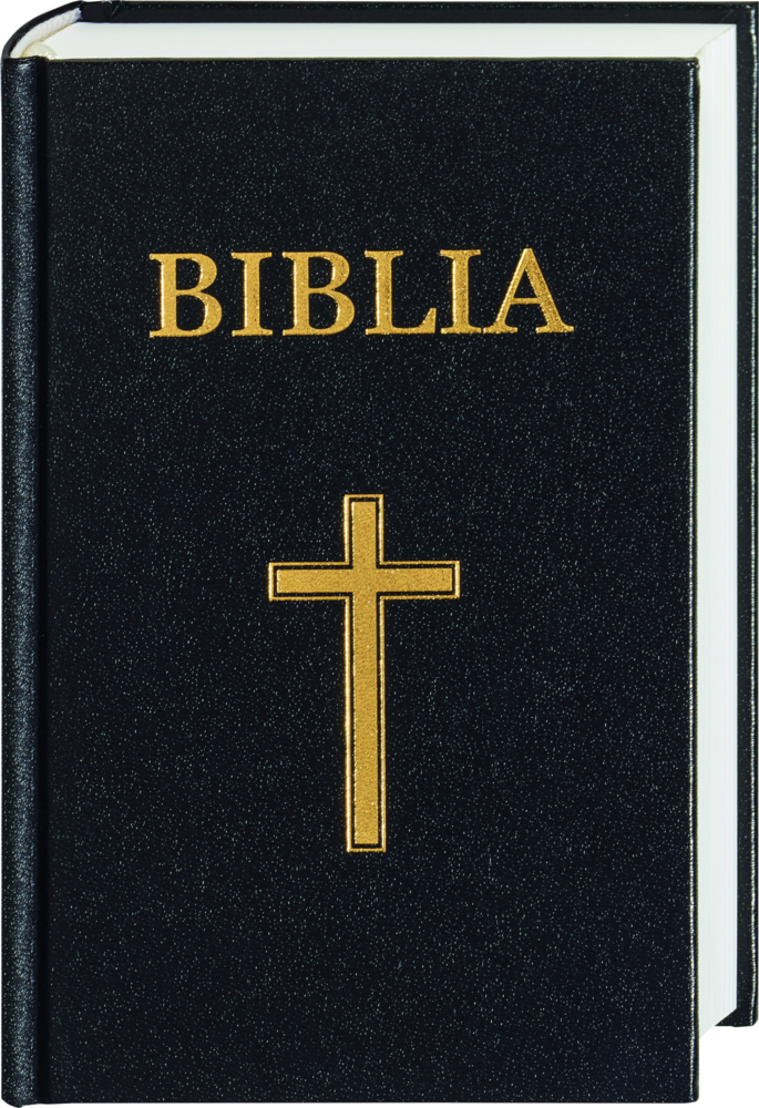 Biblia - Bibel Rumänisch main product photo