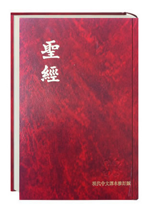 Bibel Chinesisch main product photo