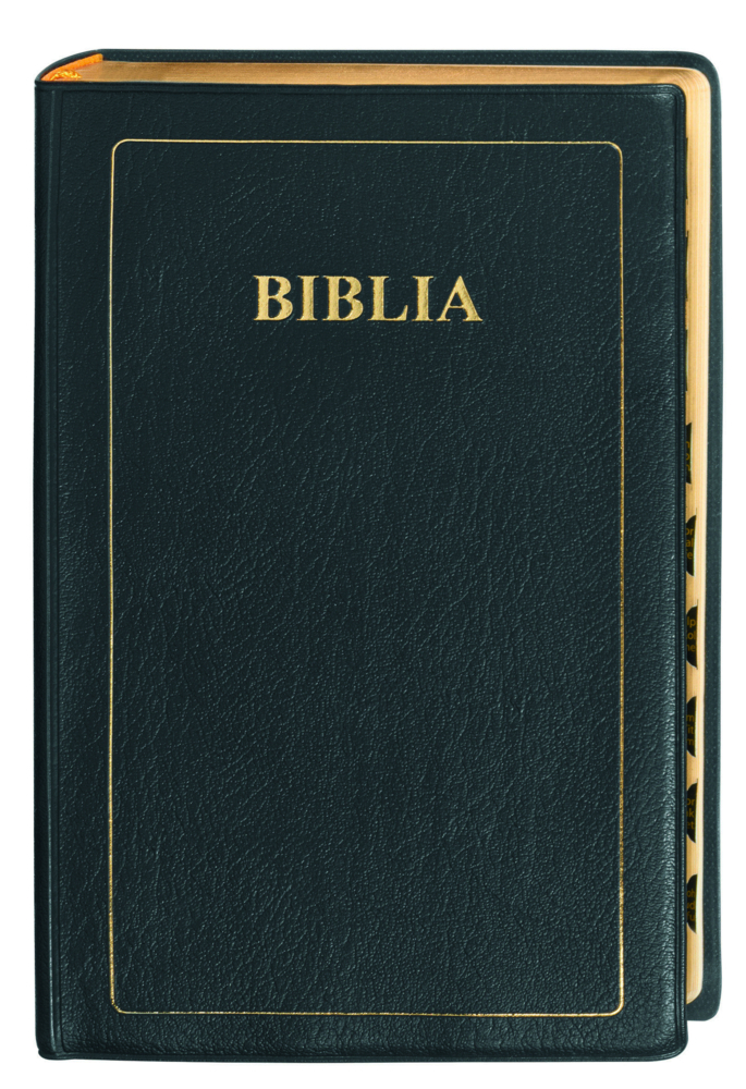 Bibel Suaheli - Bible in Kiswahili, Übersetzung: Union Version,Traditionell main product photo