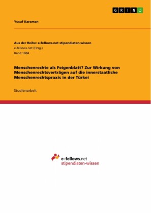 Menschenrechte als Feigenblatt? Zur Wirkung von Menschenrechtsverträgen auf die innerstaatliche Menschenrechtspraxis in der Türkei