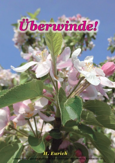 Überwinde main product photo