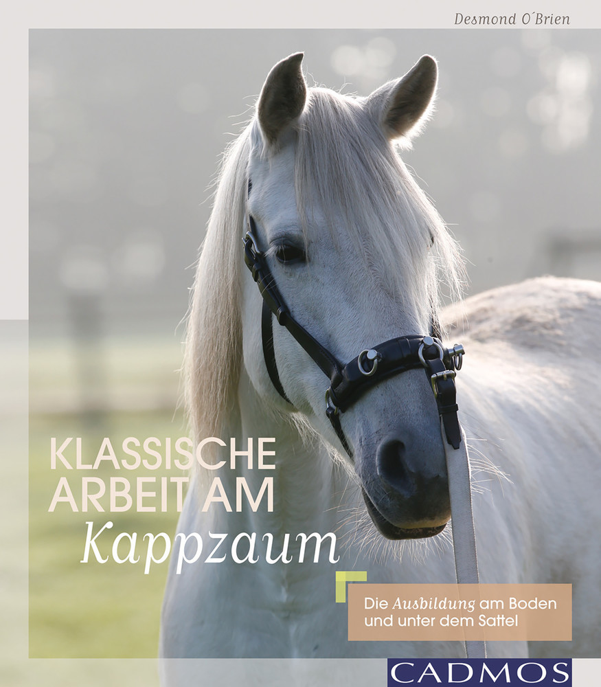 Klassische Arbeit am Kappzaum main product photo