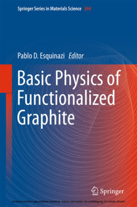 Basic Physics of Functionalized Graphite