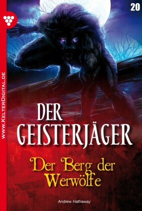 Der Geist von Blenford Castle