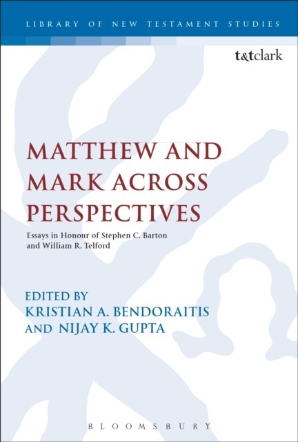 Matthew and Mark Across Perspectives main product photo