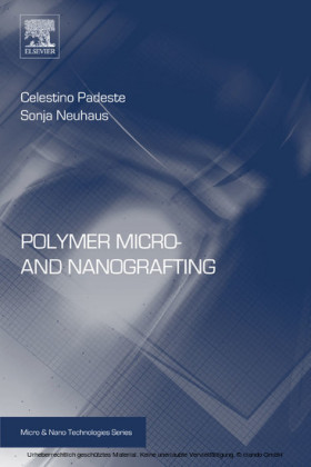 Polymer Micro- and Nanografting