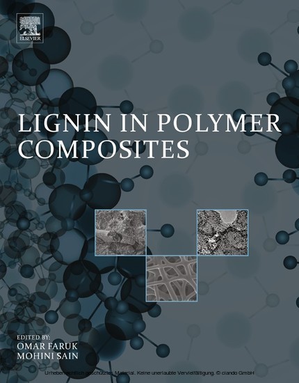 Lignin in Polymer Composites main product photo