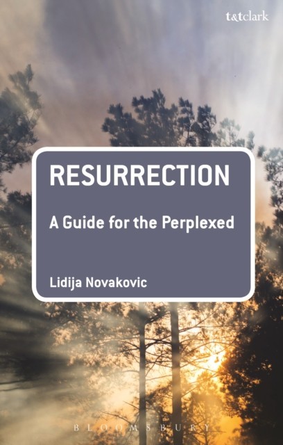 Resurrection: A Guide for the Perplexed main product photo