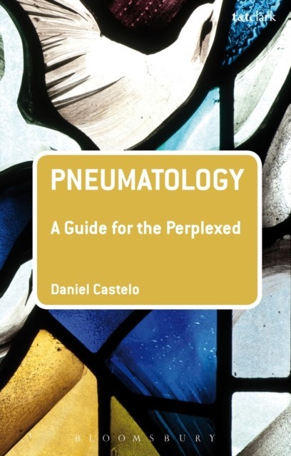 Pneumatology: A Guide for the Perplexed main product photo