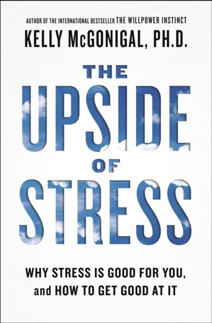Upside of Stress main product photo