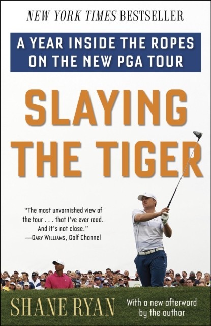 Slaying the Tiger main product photo