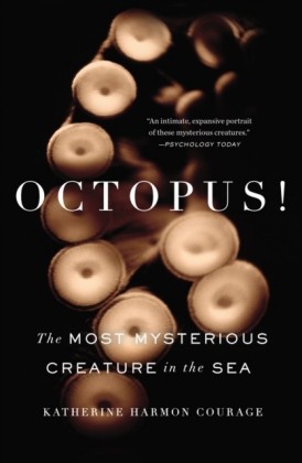 Octopus!