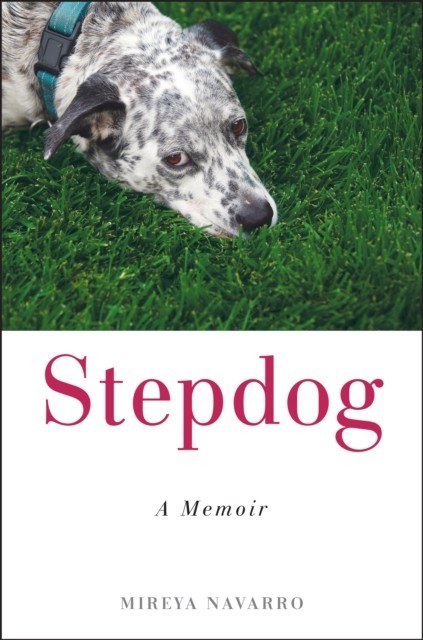 Stepdog main product photo