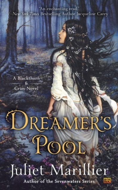 Dreamer's Pool main product photo