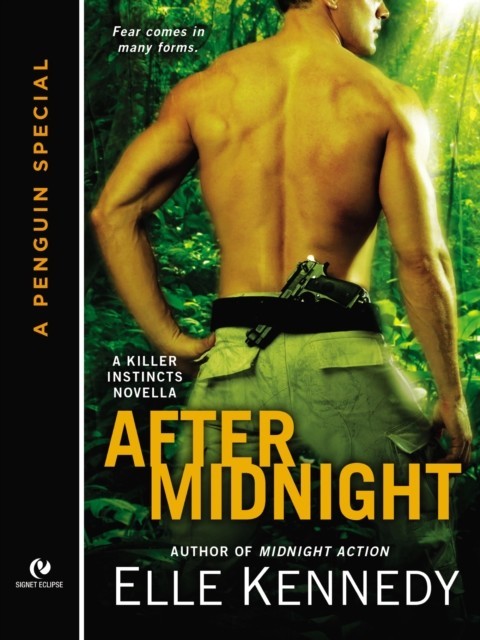 After Midnight main product photo