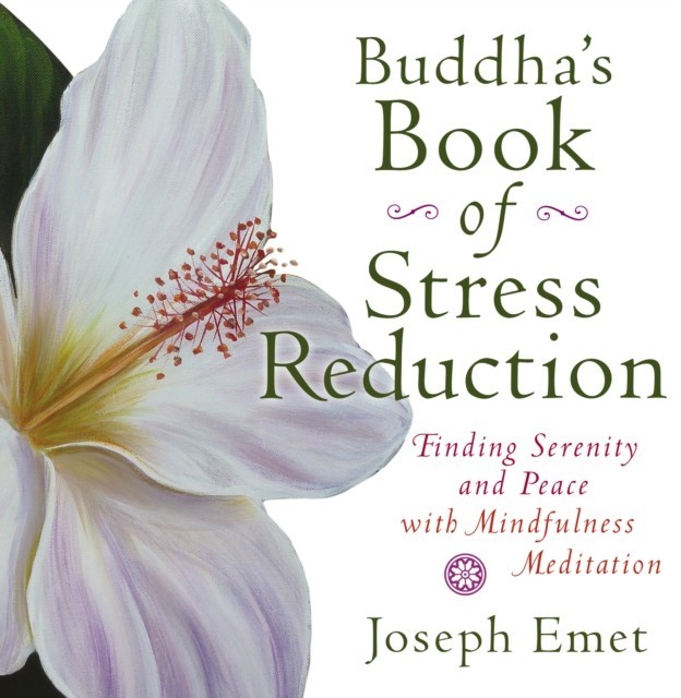Buddha's Book of Stress Reduction main product photo