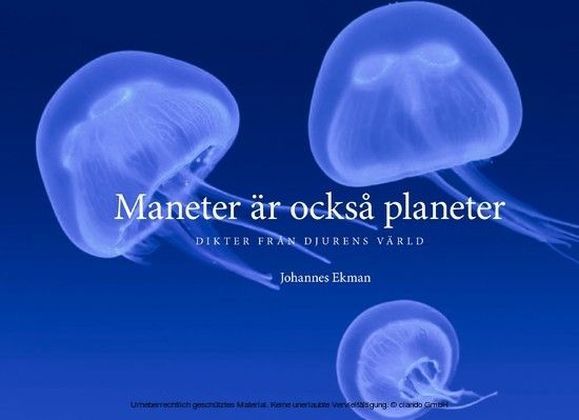 Maneter är också planeter main product photo
