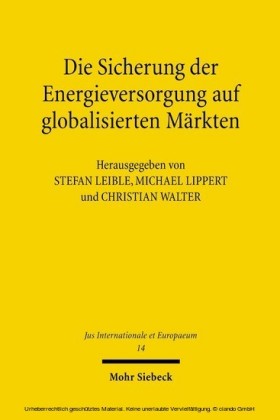 Die Sicherung der Energieversorgung auf globalisierten Märkten