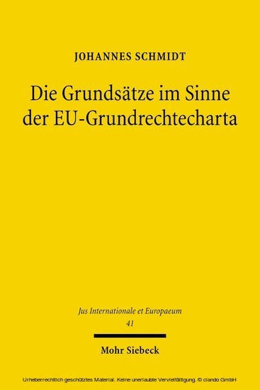 Die Grundsätze im Sinne der EU-Grundrechtecharta main product photo
