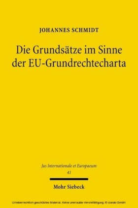 Die Grundsätze im Sinne der EU-Grundrechtecharta