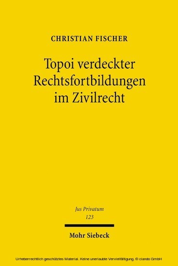Topoi verdeckter Rechtsfortbildungen im Zivilrecht main product photo