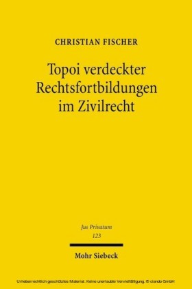 Topoi verdeckter Rechtsfortbildungen im Zivilrecht
