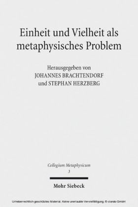 Einheit und Vielheit als metaphysisches Problem
