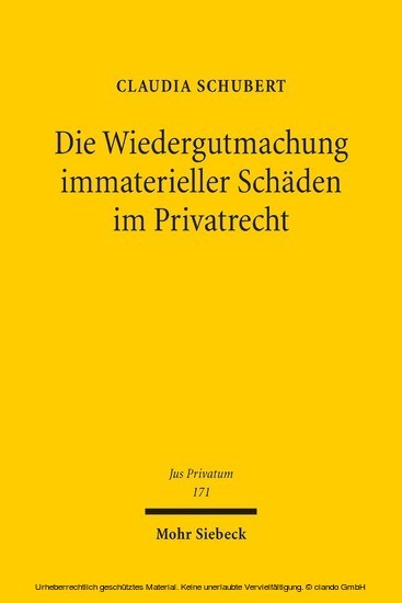 Die Wiedergutmachung immaterieller Schäden im Privatrecht main product photo