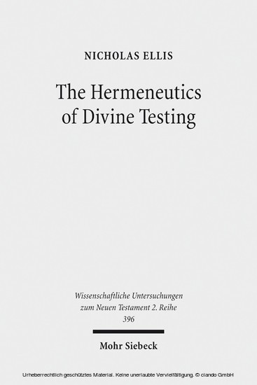 The Hermeneutics of Divine Testing main product photo