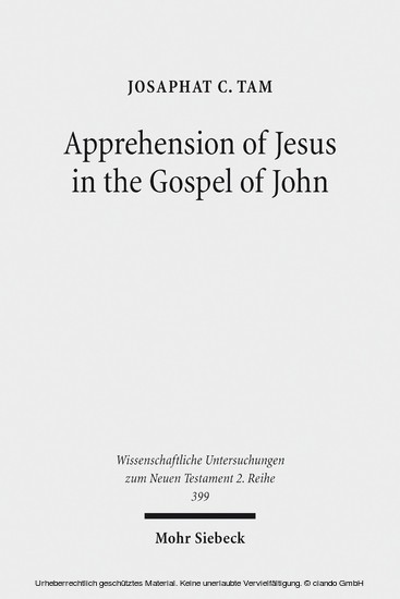 Apprehension of Jesus in the Gospel of John main product photo