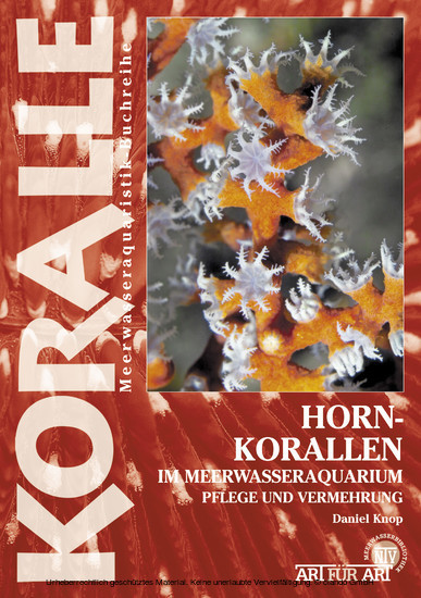 Hornkorallen im Meerwasseraquarium main product photo