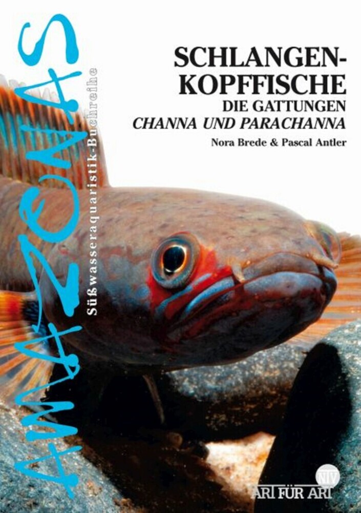 Schlangenkopffische main product photo