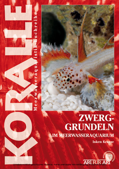 Zwerggrundeln im Meerwasseraquarium main product photo
