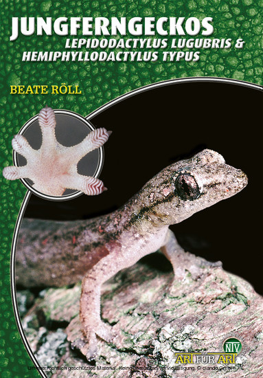 Jungferngeckos main product photo