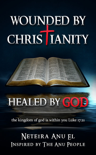 Wounded By Christianity main product photo