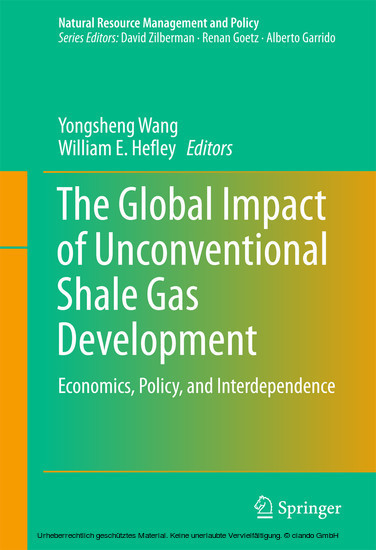 The Global Impact of Unconventional Shale Gas Development main product photo