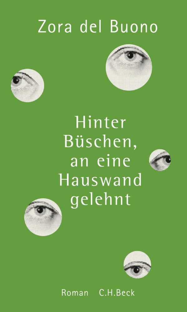 Hinter Büschen, an eine Hauswand gelehnt main product photo