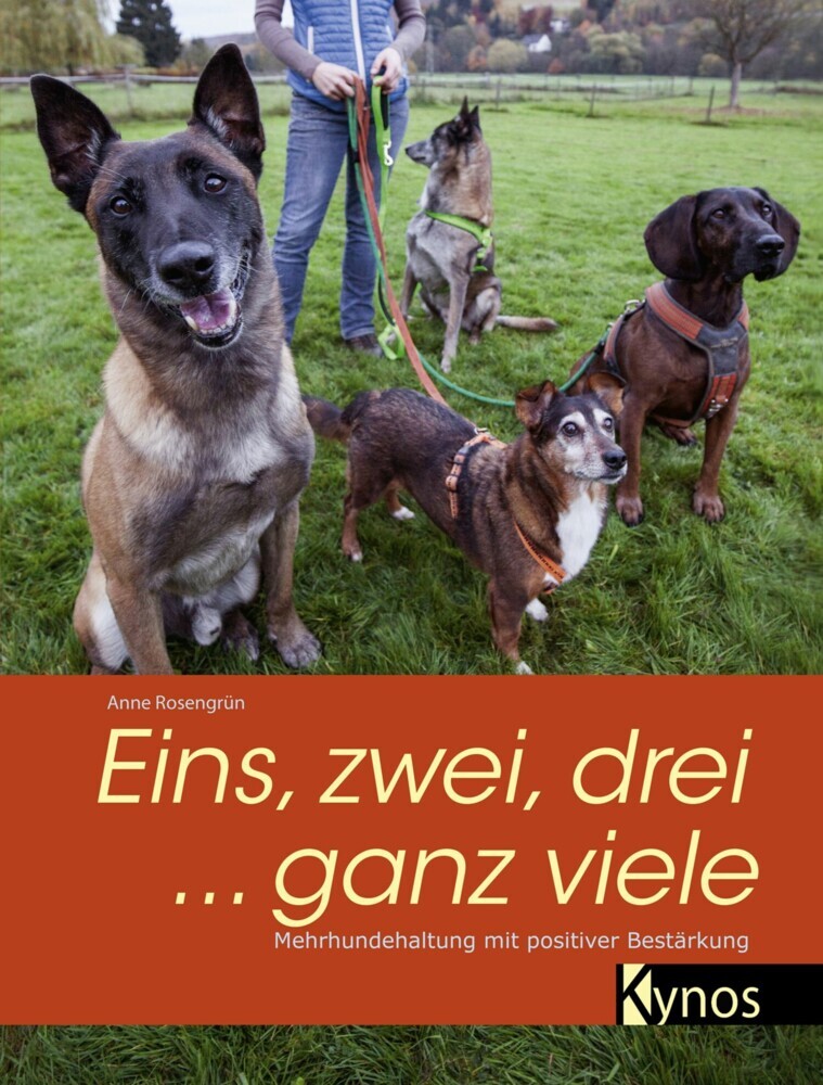 Eins, zwei, drei ... ganz viele main product photo